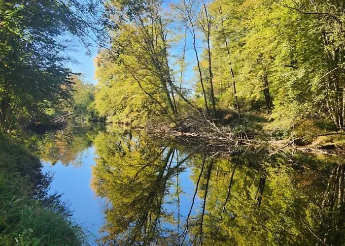 Demeure Perigourdine, Prairies Et Acces Riviere *